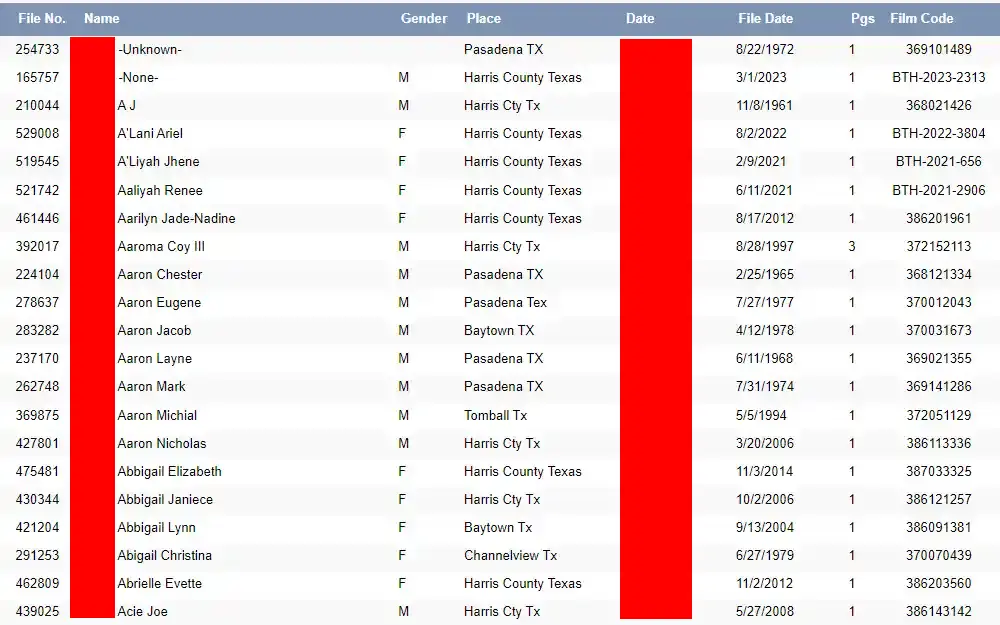 A screenshot of the vital statistics search tool provided by the Harris County Clerk’s Personal Records Department where the user can select to search either birth or death certificates by name.