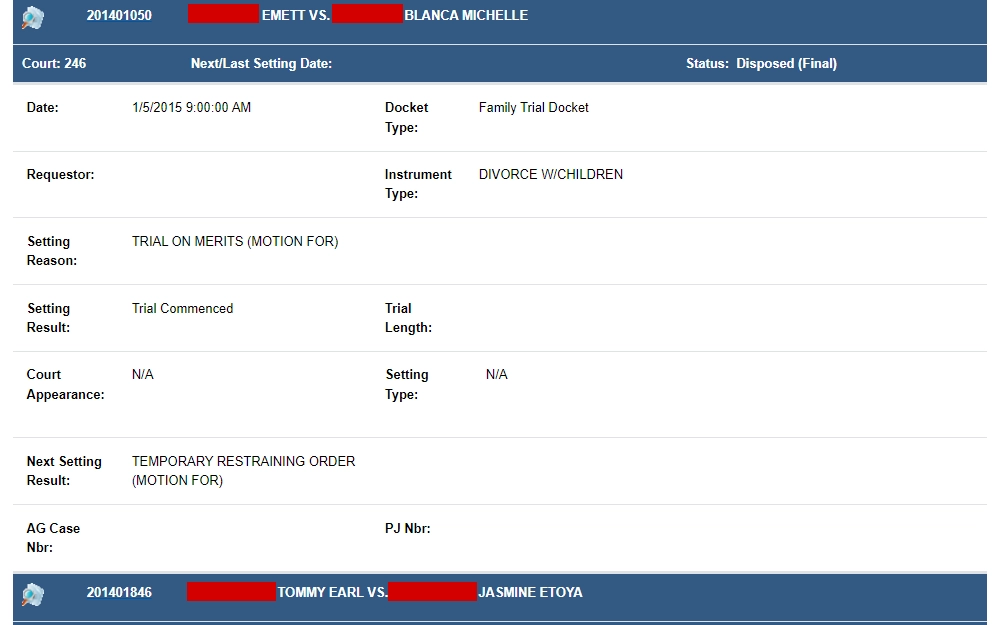 Screenshot of a docket search result for family trial court displaying a summary of a divorce case.